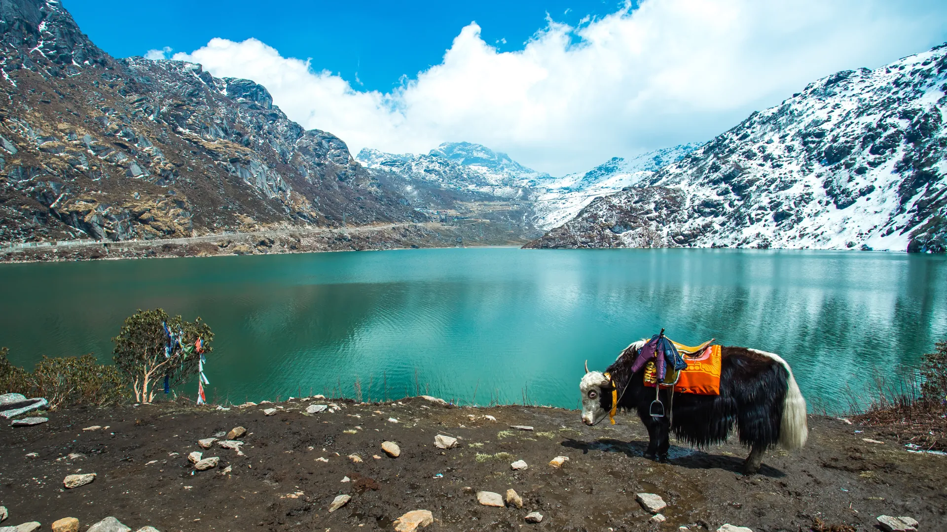 Sikkim